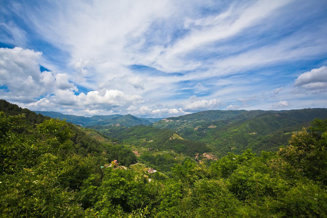 Fattoria Di Pietrabuona Apartment Pescia Bagian luar foto